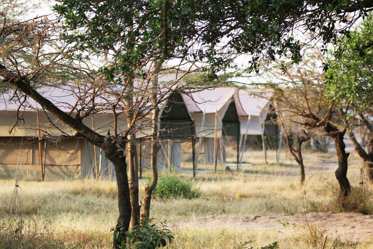 Olengoti Eco Safari Camp Hotel Talek Luaran gambar